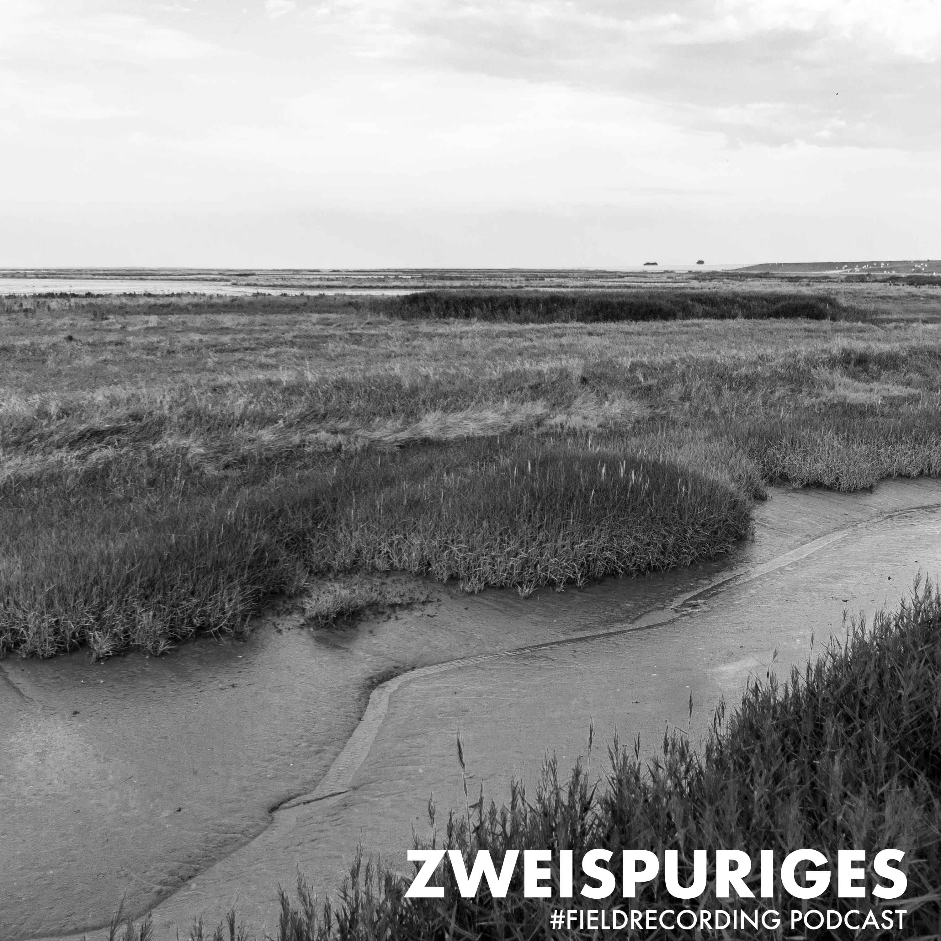 zweispuriges | field recording