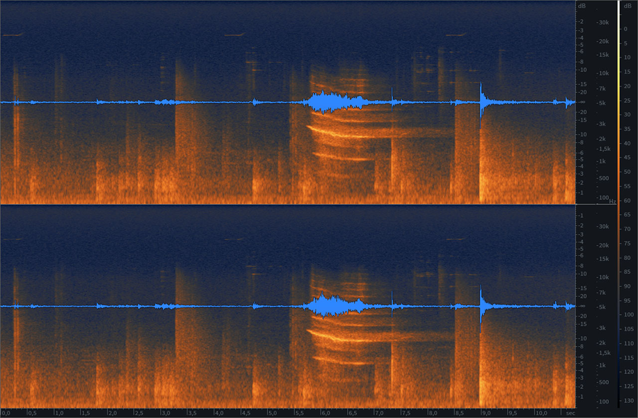 Spektrogramm, welches Spuren eines Marderwarners außerhalb des hörbaren Bereichs zeigt