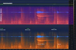 Spektrogramm: Sichtbar der Hörbereich des Menschen, ein Knaller, ein Silvester Heuler und der Ton des Marderwarners
