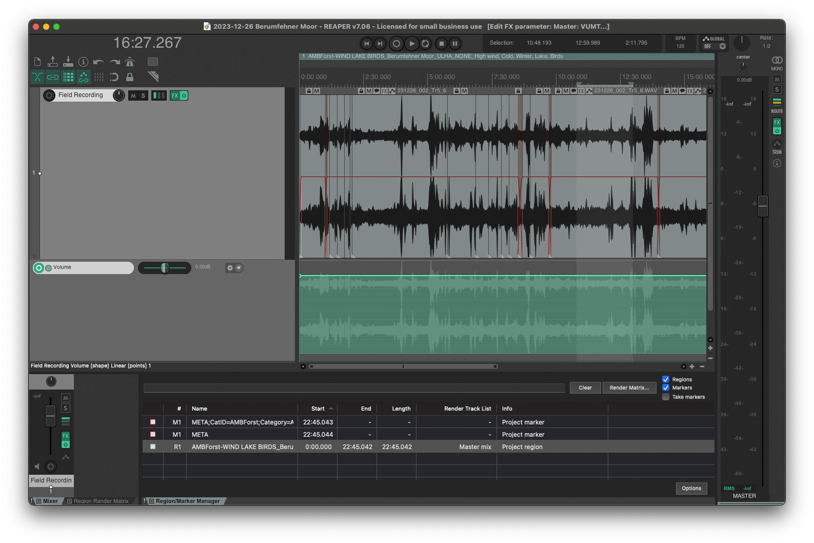 Screenshot der Digital Audio Workstation Reaper